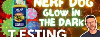Nerf
