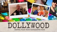 TRAVEL VLOGDollywood 40th Anniversary Flower & Food Festival
